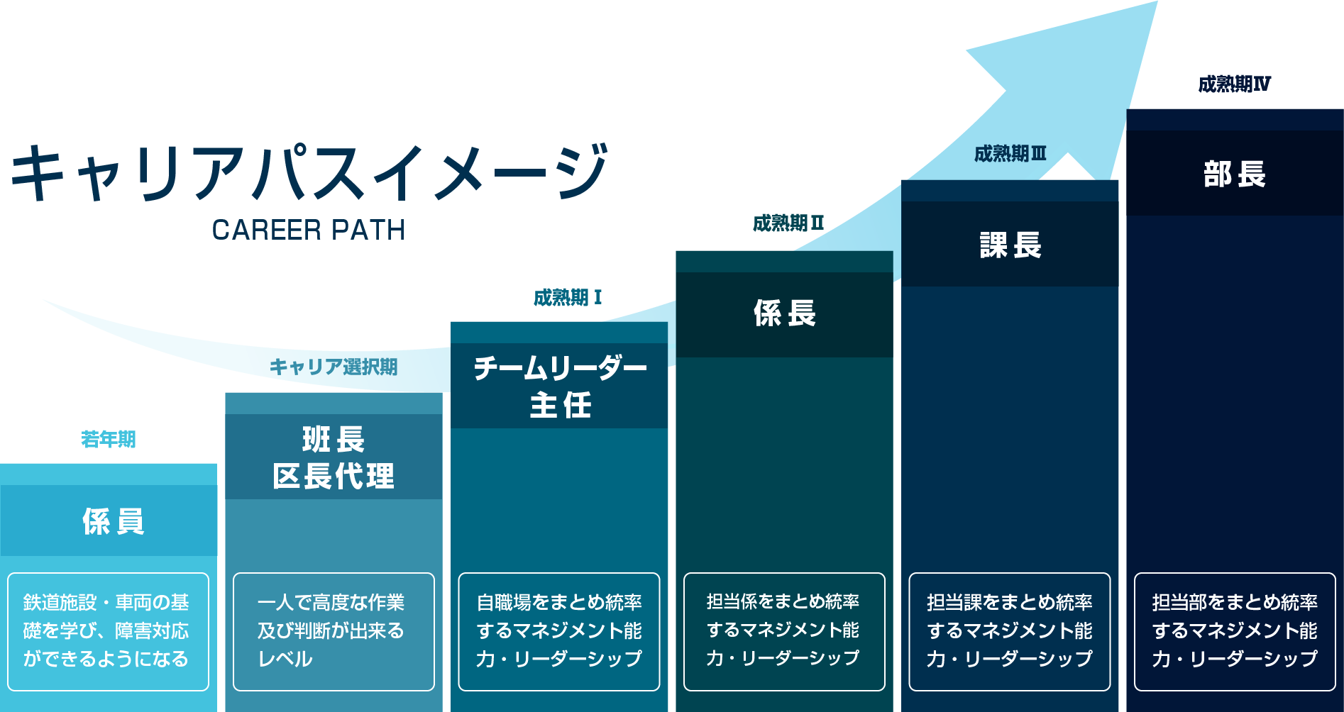 係員から部長までのキャリアパスのイメージ図